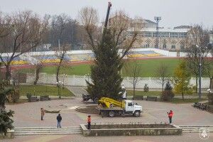 У Нововолинську святкова ялинка постоїть без прикрас (Фото)