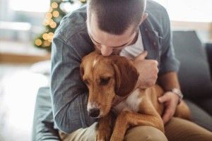 У Рівненському зоопарку мріють про психолога для хвостатих