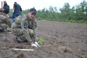 Біля Луцька росте незвичайний ліс, посаджений надзвичайними чоловіками (фото)