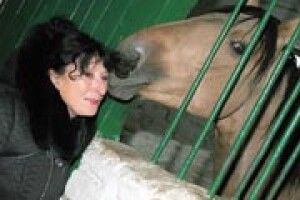 ПІВВІКУ В СІДЛІ