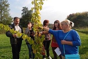ЕКОЛОГІЧНО ЧИСТІ ПРОДУКТИ — ШАНС ДЛЯ ВОЛИНСЬКИХ ФЕРМЕРІВ*