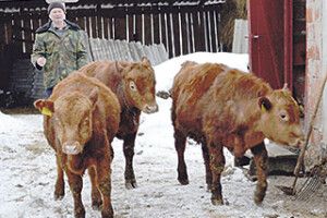 ХАЗЯЙСЬКІ БИЧКИ ПРОСЯТЬ ПІДТРИМКИ