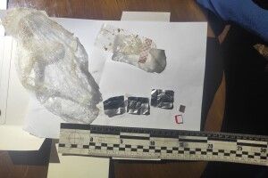 На Волині, за побачення у в'язниці, жінка може отримати 10 років
