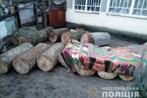 Рівненський дуборіз завдав Цуманській пущі збитків на понад 133 тисячі гривень