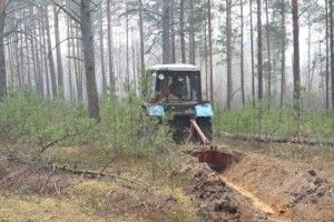 Вогнеборці ліквідували кілька лісових пожеж на Житомирщині