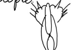 ПУТІН НАМАЛЮВАВ КОТА… ЗЗАДУ