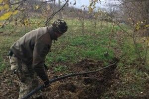 Хто гнав спирт через кордон?