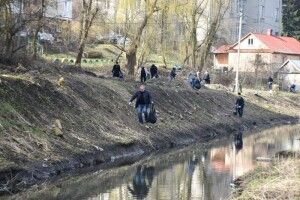 У Луцьку організували екологічну толоку