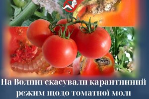 На Волині в районі скасували довготривалий карантин