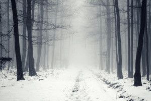Погода: вже й січень відходить за білі тумани… (Карти гідрометеоцентру)