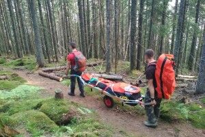Бійцям ДСНС довелося знімати з гори у Карпатах туриста, який забив ногу