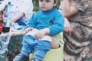 ФОТО НА КОНКУРС: диво-зручності на пеньку