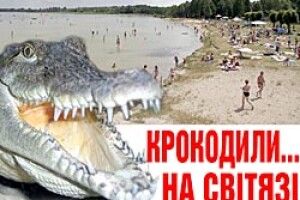 КРОКОДИЛИ... НА СВІТЯЗІ