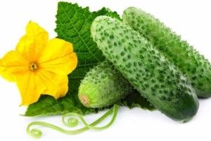 Ціни на огірки зросли до рекордних 40 грн/кг