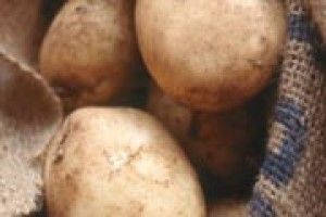 ЧИ НЕ ЗАЛИШИТЬСЯ ВОЛИНЬ  БЕЗ ДРУГОГО ХЛІБА?