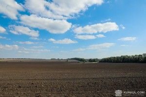 Визначено області-лідери за темпами росту посівних площ у 2017 році
