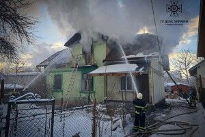 У пожежі згоріли 61-річний дідусь та 2-річна онучка