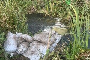 На Волині розшукують осіб, які вчинили екологічний злочин