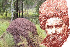 ПЕРЕД АРЕШТОМ У 1950-му ЗАХОВАВ «КОБЗАРЯ» У МУРАШНИКУ