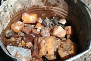Мисливці за «сонячним камінням» вполювали піввідра бурштину (фото)