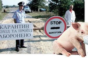 АФРИКАНСЬКА ЧУМА  ЗНОВУ АТАКУЄ ПОЛІССЯ