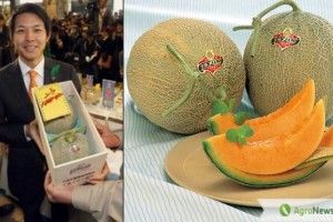 Які найдорожчі фрукти у світі?