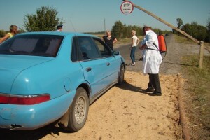 У селі Хотешів виявлено збудника африканської чуми свиней