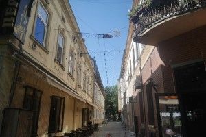Від крилатої змії до Шона Мендеса: чому волинянам варто відвідати Івано-Франківськ на вихідних