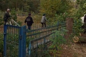У селі Черемшанка провели толоку