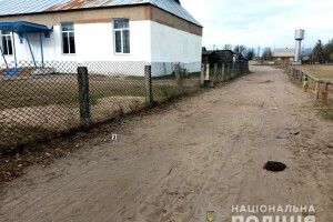 Парубкові зі Старого Села проламали голову штахетиною на дискотеці в Дроздині (фото)
