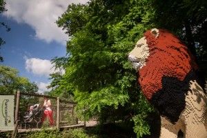 У Бельгії відвідувачі зоопарку… складатимуть звірів із запчастин (фото)