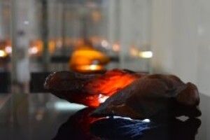 У Волинській облраді – виставка бурштину. Каміння продадуть з аукціону