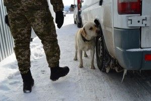 Кримінальна «передача» у рейсовому автобусі