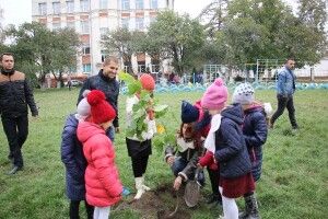 Лучани, виходьте садити «Дерево миру»