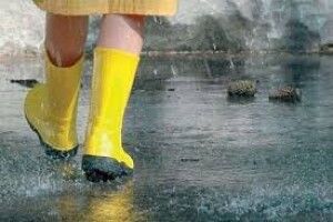 Погода на понеділок, 1 червня: літо зустріне нас хмарною погодою та північним вітром