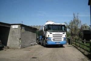 15 тисяч літрів молока вилились на дорогу і замерзли