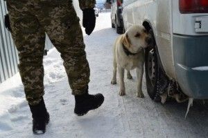 «Перевозив передачу» – на Ягодині вилучили партію наркотиків