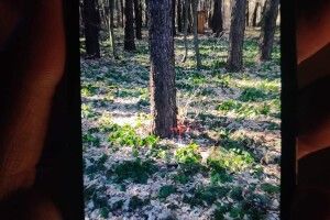 Двоє волинян, незважаючи на війну, робили закладки з наркотиками (Фото)