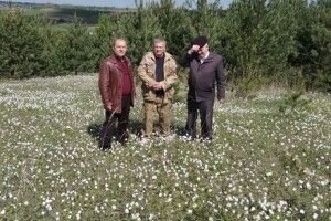 Закарпатській долині нарцисів далеко братися до волинської долини анемони лісової (Фото)