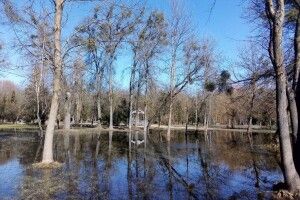 Повінь у луцькому парку: весна у світлинах