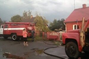 У Каноничах червоний півень залишив корову без сіна
