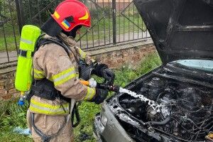 На Рівненщині під час руху загорілася автівка (Фото)