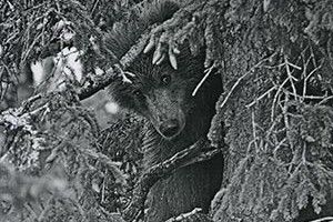 ВІКНО РУБРИКИ: я вродливий і добрий!