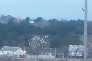 Над мечеттю в Сімферополі вивісили український прапор (фото)