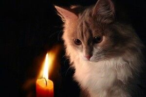 Завтра по всій області, крім Ратнівщини, будуть перебої з подачею електроенергії