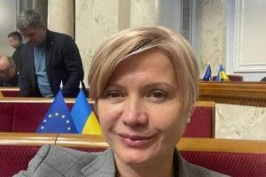 Ми відстоювали гроші на армію: Геращенко про зміни до бюджету цього року