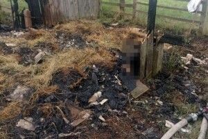 Ненароком підпалив сіно: розповіли про останні хвилини життя хлопчика, який згорів заживо