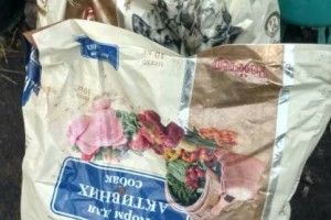 Анонімні благодійники обдарували кормом обездолених луцьких псів