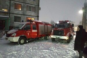У Житомирі під час гасіння пожежі врятували кішку (Фото)