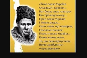 На Волині юні рятувальники продемонстрували свій клас (Відео)
